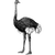 prime_1 profile image