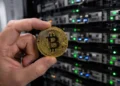 BitGo Introduces Quantum Risk Management Tools for Bitcoin Wallets