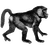 kushagra-devs profile image