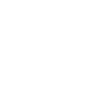 Google Business Profile icon