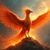 firebird profile image