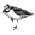 acaciaman profile image