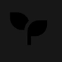 Noah's Org logo