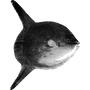 tristan10_ profile