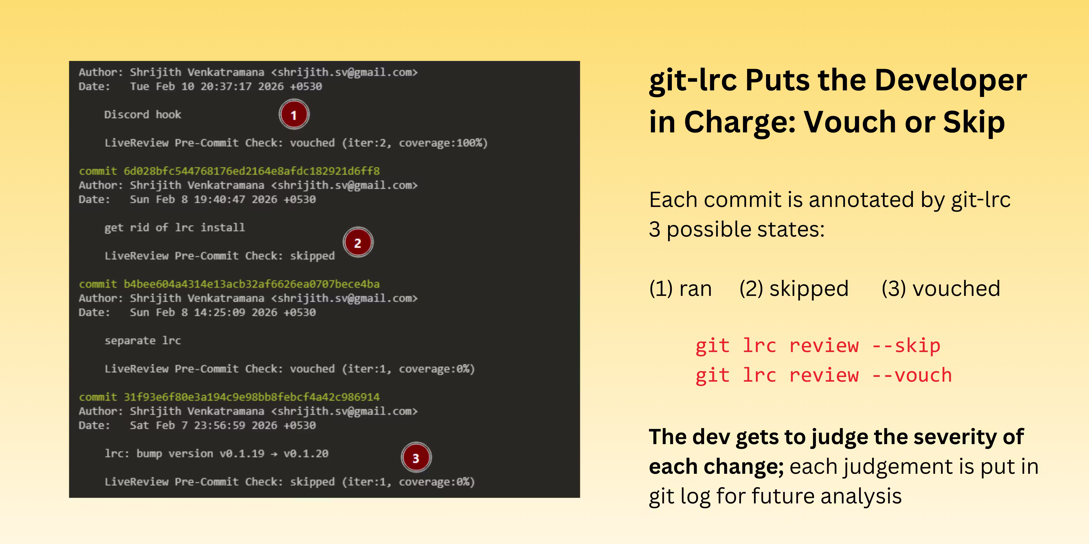 git-lrc gallery image