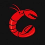 sameer_srivastav_1d22aed3 profile