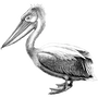 nestorgonate profile