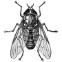 chira_26 profile