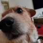 vbilopav profile